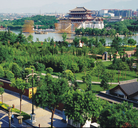 我省加强城市市政公用行业安全管理